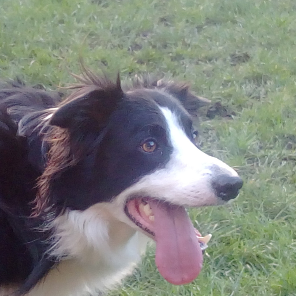 Meet your Posher, Cathy